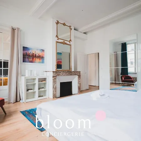 Apartament Le Grand Luxueux Des Carmes Neuf De Grand Standing *