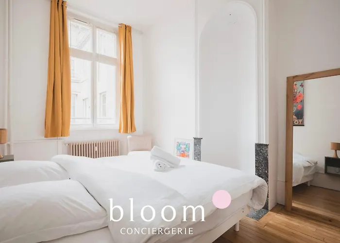 Apartament Le Grand Luxueux Des Carmes Neuf De Grand Standing Nancy